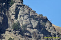 Dragon Rocks Godhead